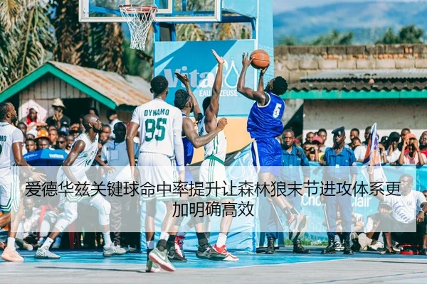 爱德华兹关键球命中率提升让森林狼末节进攻体系更加明确高效